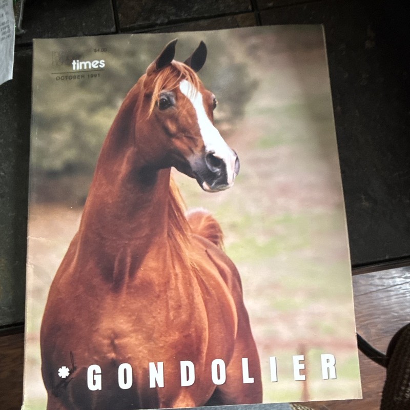 Times Gondolier October 1991 Collectible Calendar Horse