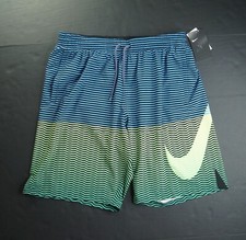 NIKE Men's Ghost Green Multi Horizon Striped Swim Board Shorts NEW NWT