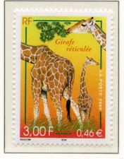 PHOTO CONTRACTUELLE / TIMBRE FRANCE NEUF N° 3333 ** GIRAFE