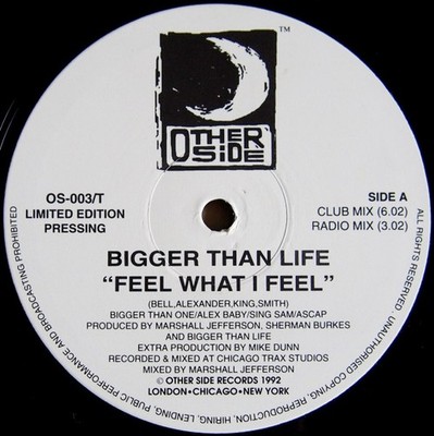 Bigger Than Life - Feel What I Feel / High And Mighty, 12'', (Vinyl)