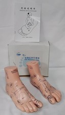 Foot Reflex Zone Model Acupuncture Display with Labels - RH213/12