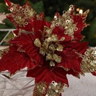Foto 10 di 27