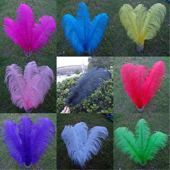 Wholesale 5PCS ostrich feathers 15 55cm 6 22 Inch wedding