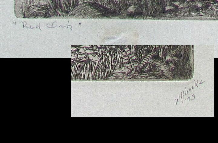 Picture 3 of 5
