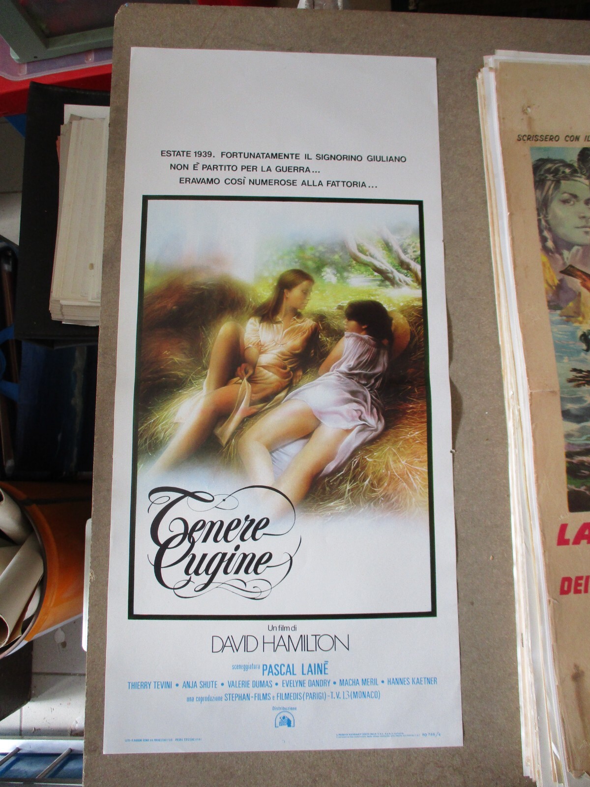Locandina originale film Tenere cugine (1980) - Regia di David Hamilton