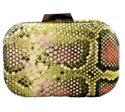 Beth Jordan Clutch Tasche Schlangenleder Party Hartschale Kettenriemen Python Minaudiere