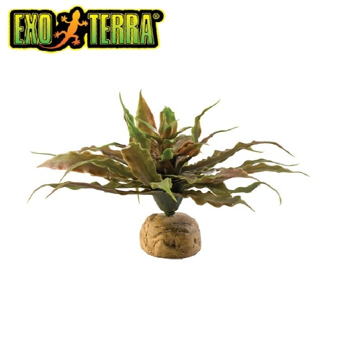 EXO TERRA REPTILE STAR CACTUS REALISTIC PLANT DECORATION VIVARIUM TERRARIUM