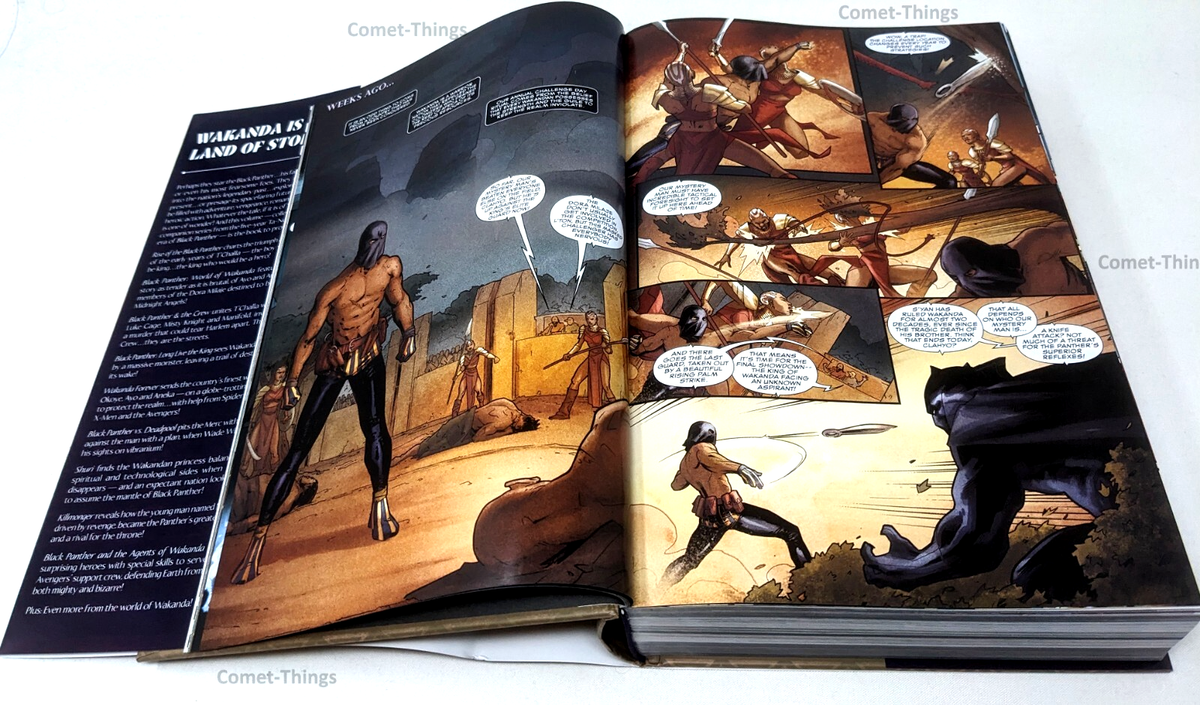 Wakanda: World of Black Panther Omnibus (Marvel, 2022) - New