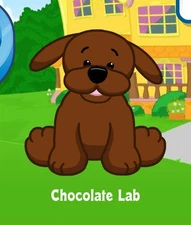 Webkinz Classic Chocolate Lab Virtual Adoption Code Only Messaged