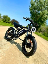 1500W Peak ebike 15.6Ah Electric Bike 20" Fat Tire Mountain Ebike for Adults