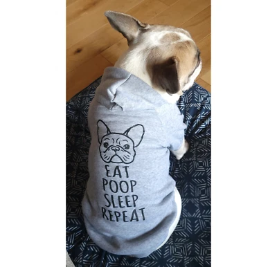 LEENEE MEENEE French Bulldog Hoodie Clothing Dog Hoodie For Frenchie Bulldog