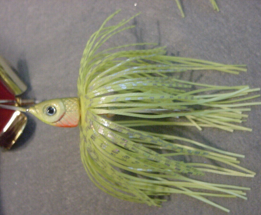 2 ~ 1/4 oz Buzzbaits Assassinator Drop Head Buzzbait Gold Blade~Gold Chart Perch - Image 2