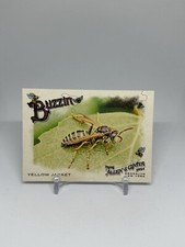 2024 Topps Allen & Ginter #BUZ-13 Yellow Jacket Buzzin' Card