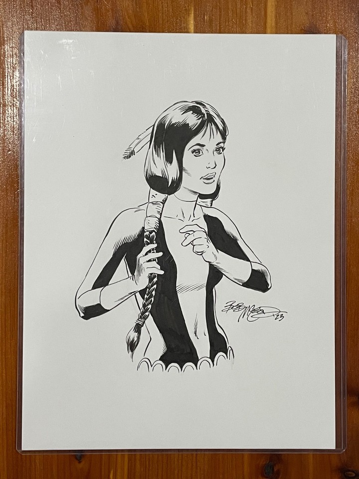 Dani Moonstar 9x12 Original Art by Bob Mcleod! Comic Art
