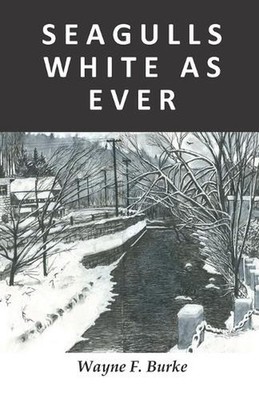S E A G U L L S W H I T E A S E V E R by Wayne F. Burke (English) Paperback Book