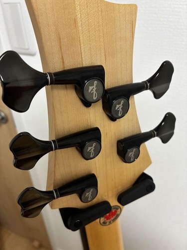 F-Bass Bn5 Brownburst Made-To-Order Item Safe delivery from Japan - 第 6/12 張圖片