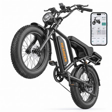 Elektrofahrrad 250W 960WH cityrad 20×4.0 Zoll Retro E-Fatbike 7-Gang E-bike