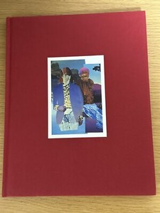 Chloé Sevigny Book | eBay
