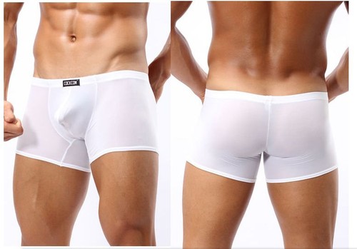 Cockcon Sexy Men Underwear Boxer Ice Silk Transparent Breathable thin - Picture 2 of 10