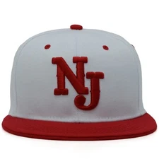 NJ New Jersey Baseball cap Front and Back NJ Embroidery Snapback Hat Cap New