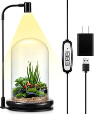 Plant Terrarium Kit with Grow Light, 4.8'' X 7.87'' Glass Dome Terrarium with Ai