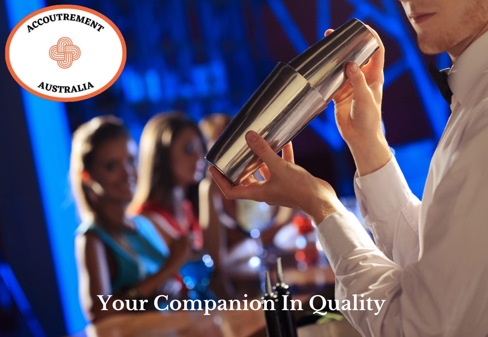 9-Pcs Professional Bartender Kit Stainless Steel Cocktail Shaker Set Bar