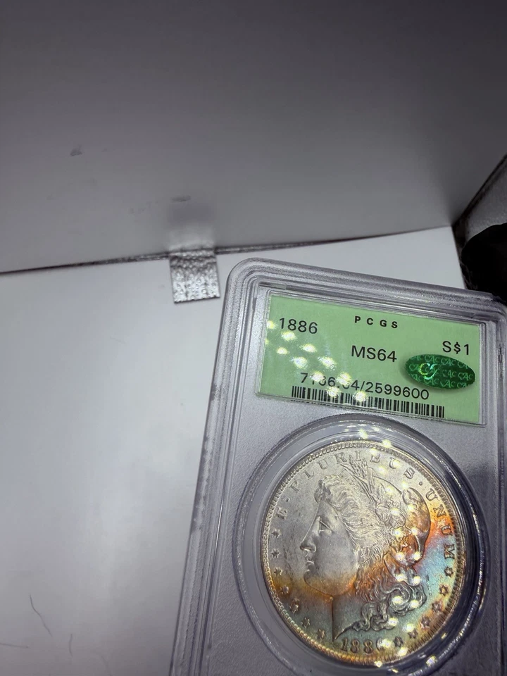 1884 $1 Morgan Silver $1  MS 64 CAC RAINBOW CRESCENT MONSTER TONER!! Best Toners - Image 4 of 4