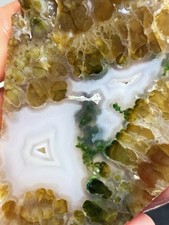 6~Opalized Petrified Wood And Pink Opal Slabs Rough 147 Grams