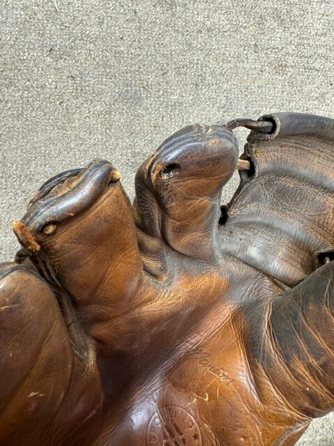 Picture 6 of 6