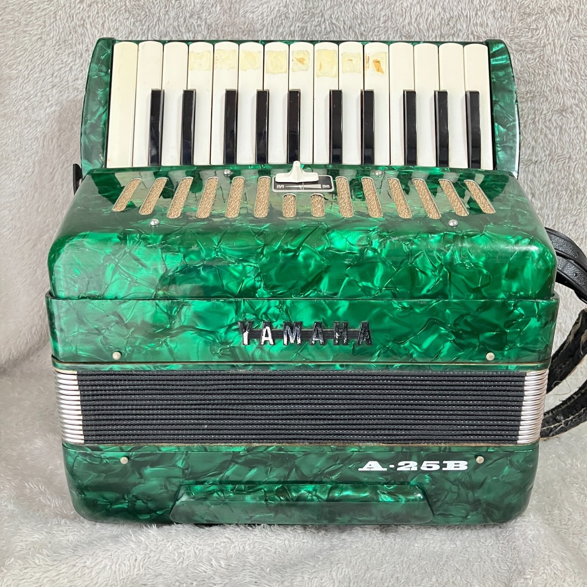 YAMAHA　ヤマハアコーディオンT-25B ブルー25鍵盤 説明書 ケース付き YAMAHA ヤマハアコーディオンT-25B ブルー25鍵盤 説明書 ケース