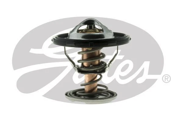 Puertas termostáticas TH55087G1 para CADILLAC CTS HOLDEN Commodore Statesman HSV GTS Foto 4 de 4