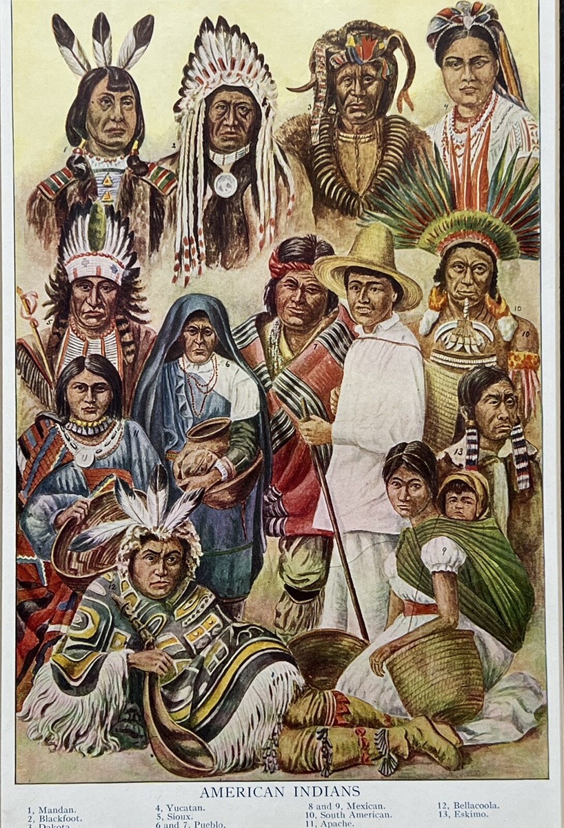 その他 First People: An Illustrated History of American Indians The Native Americans: An Illustrated History: David Hurst