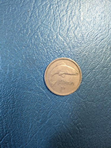 Irish  2 Floirin Coins (1965 and 1966) in good condition - Bild 2 von 6