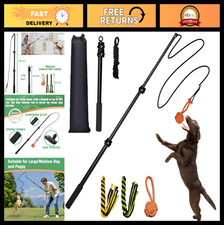 Heavy Duty 40" Extendable Flirt Pole for Dogs - Interactive Toy for All Sizes