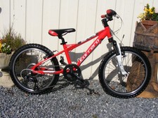 FANTASTIC BOY GIRL CARRERA BLAST BIKE FRAME 12" WHEELS 20" SERVICED COST £300