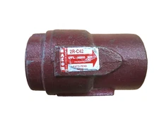 BALON 2R-C42 Swing Check Valve 2" NPT Thread Ends 1000-psi WOG, NACE Trim