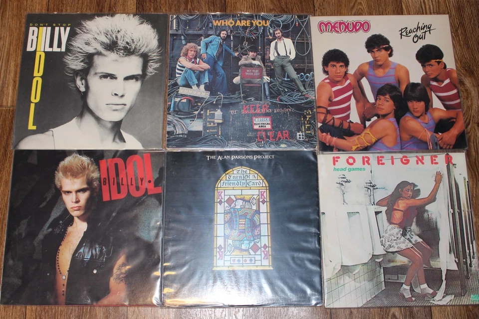 Vintage Vinyl Record LP LOT (30) Rock/Pop; Bob Seger Styx Alice Cooper & More - Image 3 of 4