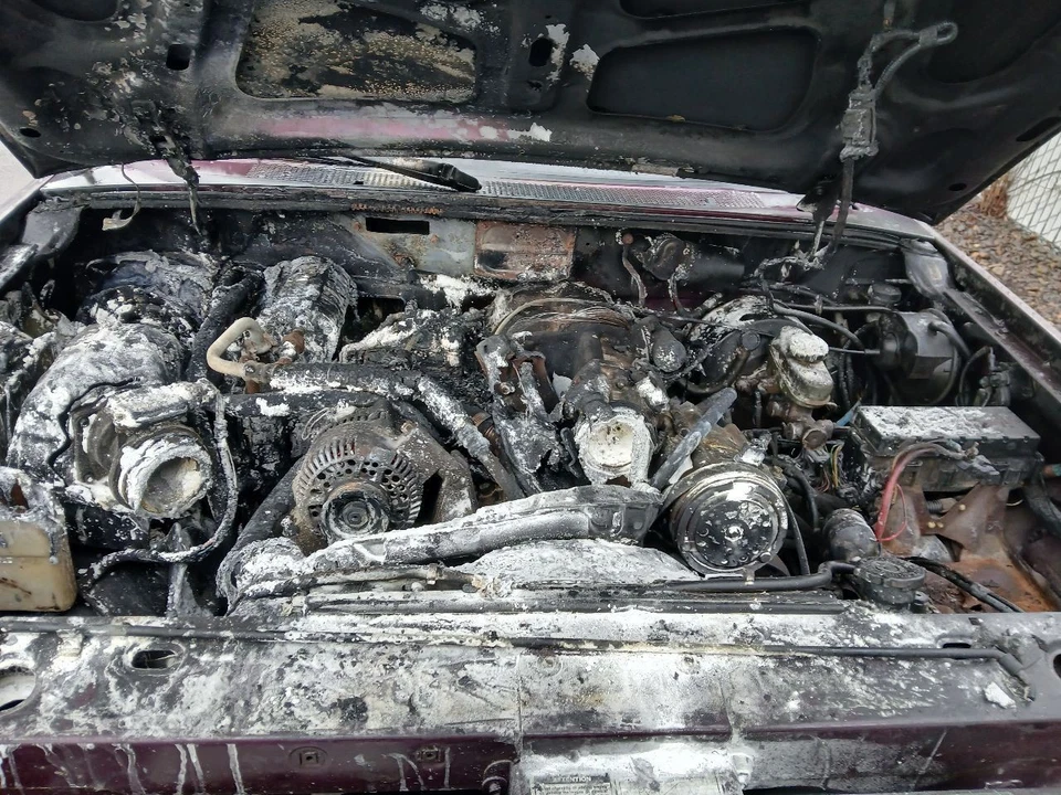 RANGER    1994 Front Door Trim Panel 28829155 Foto 3 de 4