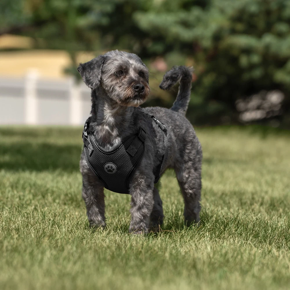 Dog Harness, Adjustable Mesh, Reflective Dog Walking Pet Harness, Black