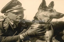 WW2 Picture Photo German Luftwaffe Aviator and his dog  4536
