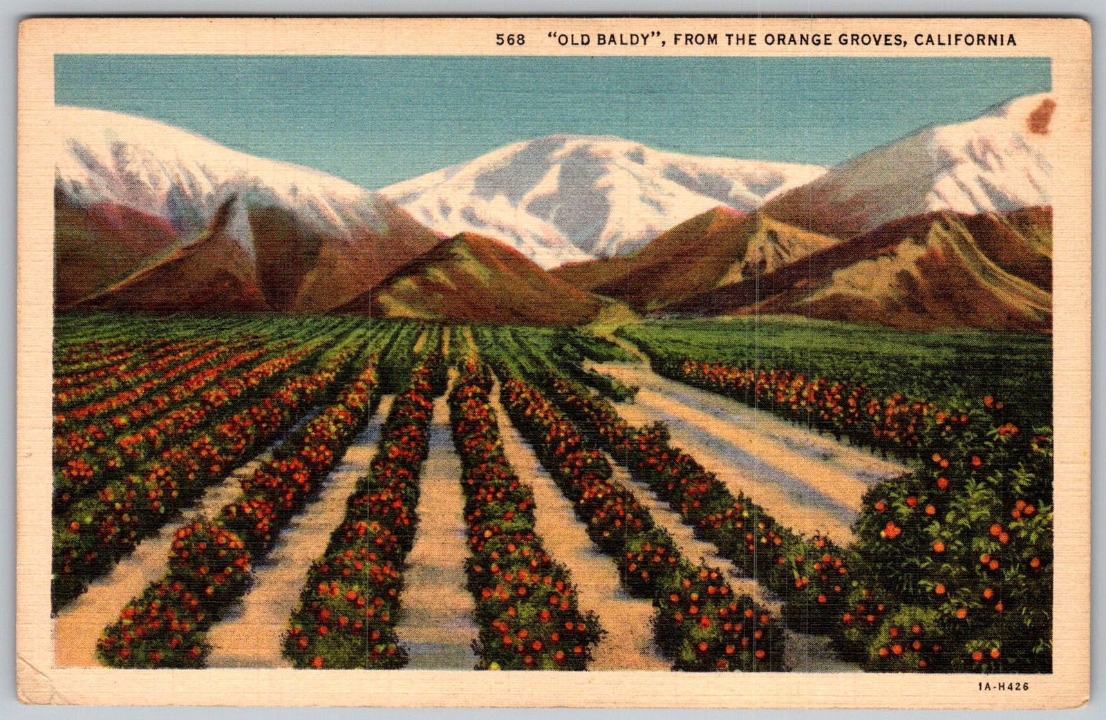 Vtg Linen Postcard Old Baldy Orange Groves California, US 1930s