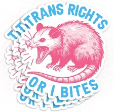 (3Pcs) Trans Rights Or I Bites Sticker Possum Stickers Feminist 2x2, Multiple 