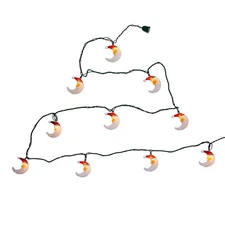 Kurt S. Adler UL 10 Santa Moon Face Light Set, 144-Inches, Multi-Colored