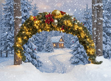 Weihnachtskranz Weihnachtsdeko Weihnachten Profiausf&uuml;hrung, erweiterbar