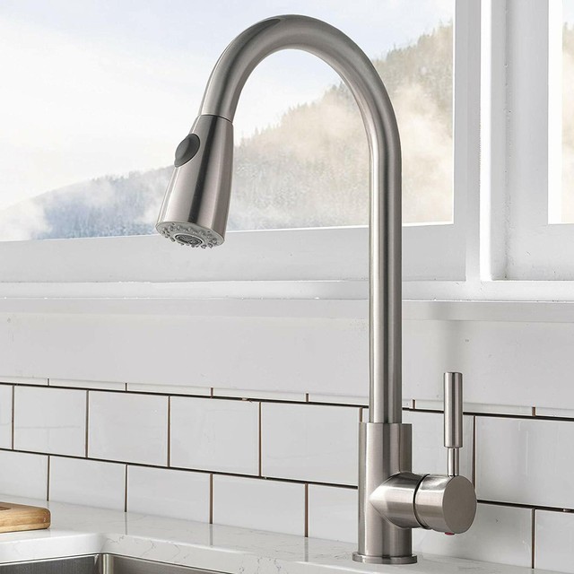 Rainmax Kitchen Sink Faucet With Single Handle Oil Rubbed Bronze