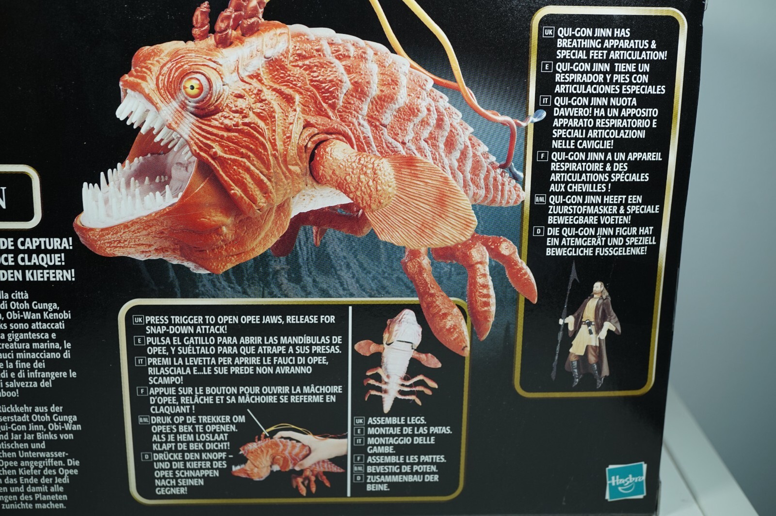 Picture 6 of 6