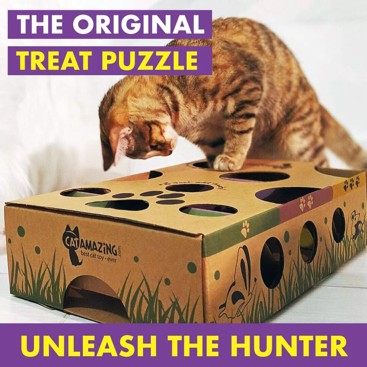 5 Reasons Puzzle Feeders Are Good For Cats 