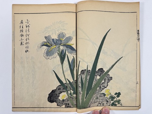 Japanese Woodblock Print Book “Kaishien Sochukakafu” all 4volume 芥子園画伝 - Picture 22 of 24