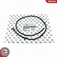Esen Skv Schlauch Leckkraftstoff 54SKV381 FüR Fiat Marea Weekend Multipla Brava