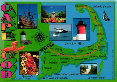 Map Cape Cod Massachusetts Postcard